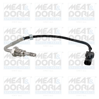 Sensor, exhaust gas temperature